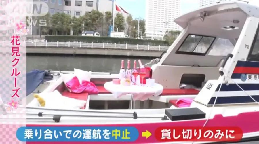 疫情期间为了赏樱花,憋坏了的日本人都想出了哪些另类方法?