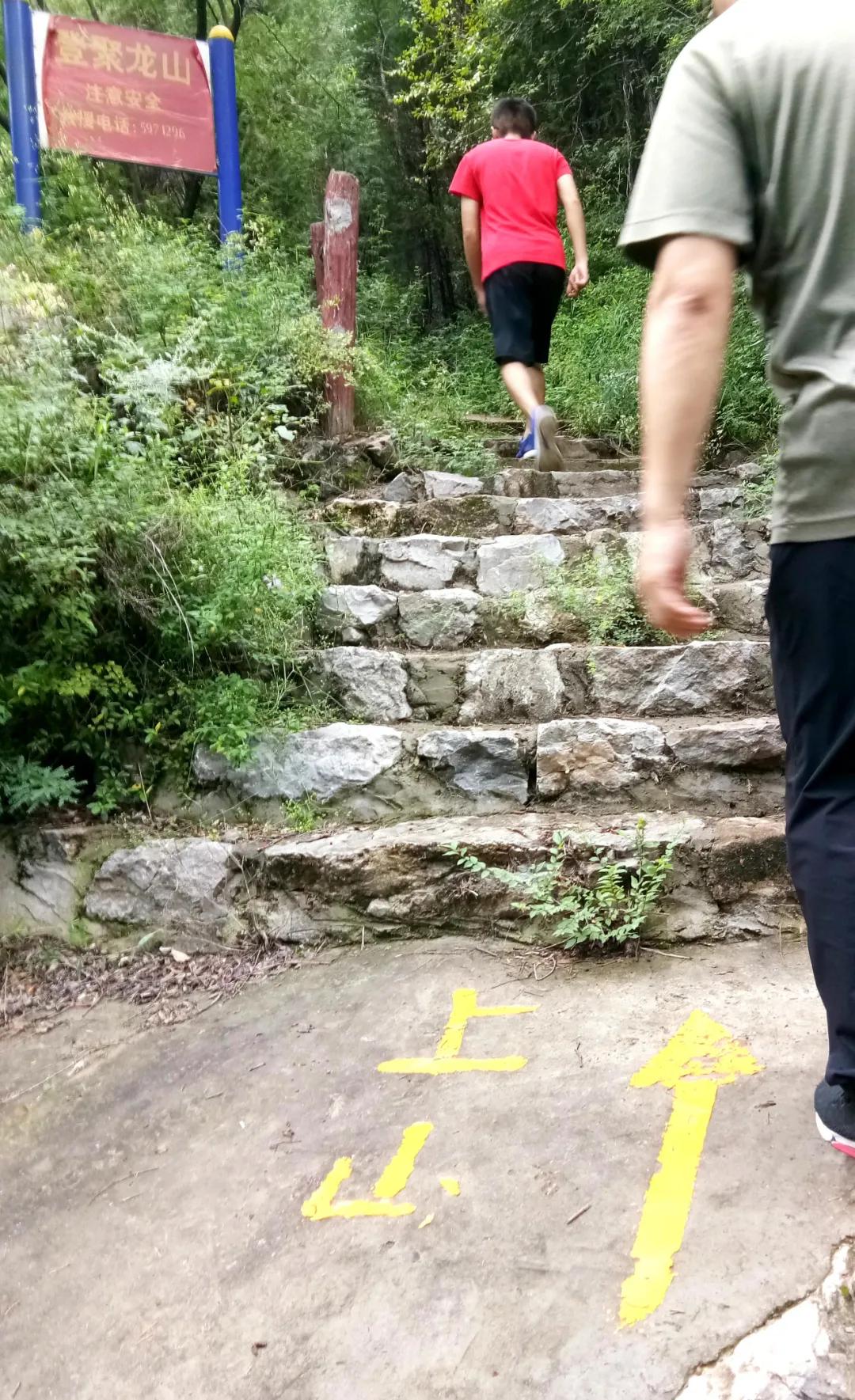 鑱氶緳灞辫幉鑺辨礊瑙嗛,姝﹀畨鑾茶姳娲炶仛榫欏北