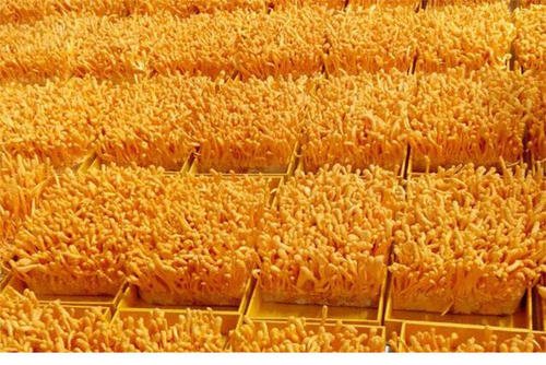 带你认识十种野草中药材,带你认识各种野菜