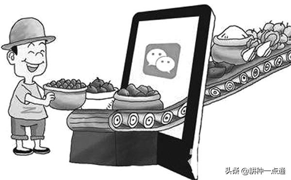 农村卖农产品销售技巧,农产品销售怎么提高销路