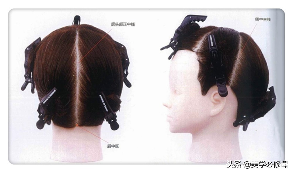 美发初学烫染分区,美发基础分区教程