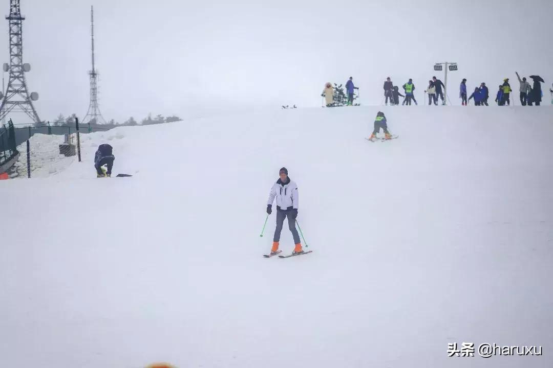 南方也能下雪吗,南方也能见到雪