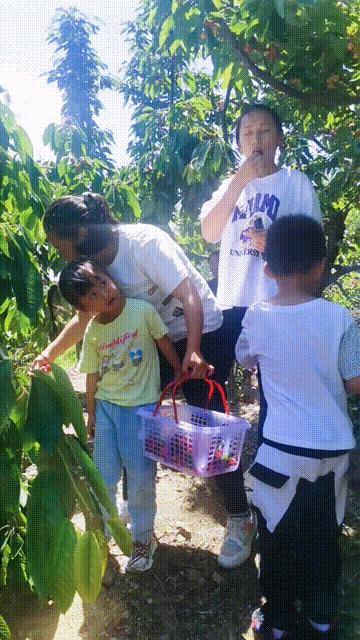 亲子游玩好去处欢乐果亲子农场,快乐六一亲子游农场游玩攻略来袭