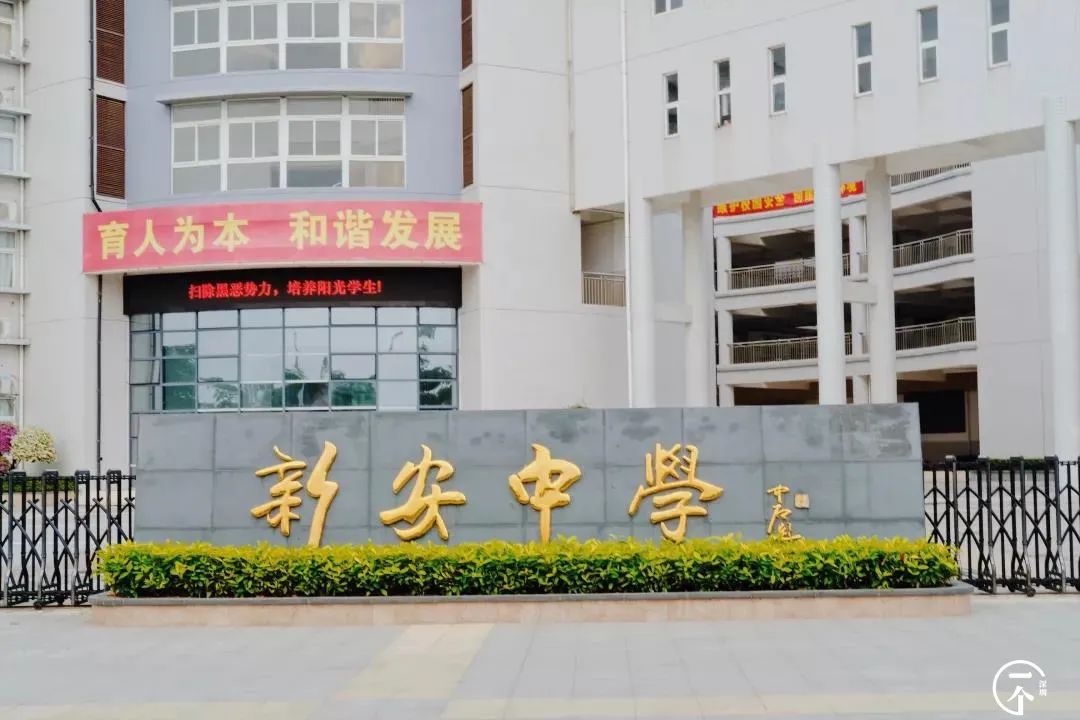 2000万在深圳能买到别墅吗,2000能在深圳租到怎样的房子