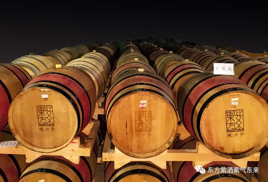 东方紫酒详细介绍,东方紫酒新国粹