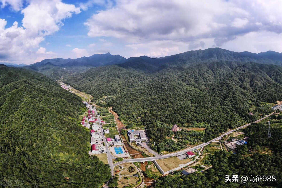 小柳舍己救人错过女友生日party多大的事儿,原创