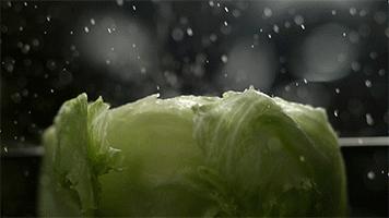 麦当劳巨无霸限时外卖5元一个,麦当劳巨无霸限时10元份数