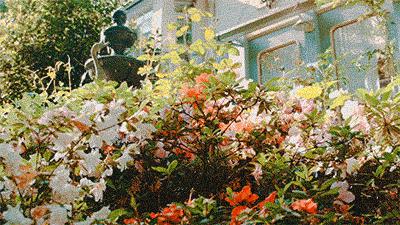 害怕hpv感染用什么预防,持续hpv阳性得宫颈癌的几率大吗