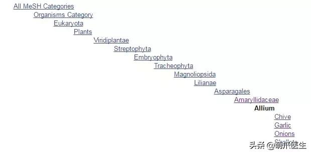 猫咪不能吃什么添加剂,猫咪不能吃什么