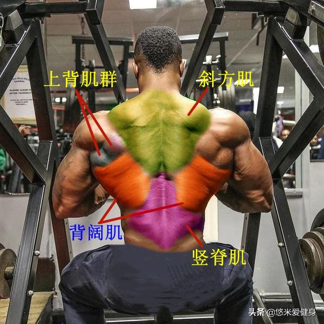 如何训练背部肌肉背阔肌无器械,背部训练主要刺激背阔肌的动作