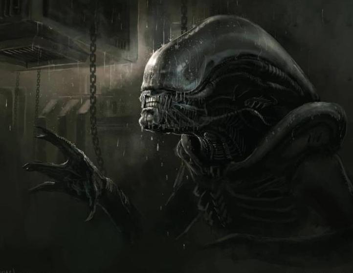 寮傚舰vs閾佽鎴樺＋娣卞害瑙ｈ,涔愰珮閾佽鎴樺＋vs寮傚舰