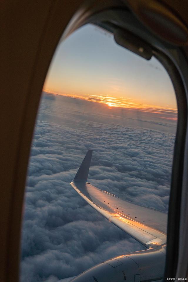 航空运输条件鉴别报告书,航空货物运输条件鉴定报告