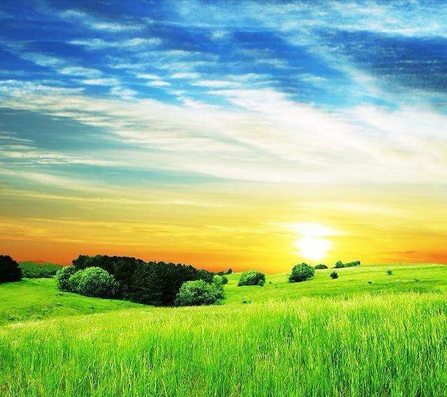 初中毕业后孩子怎么选职业学校,孩子初中毕业如何选择学校