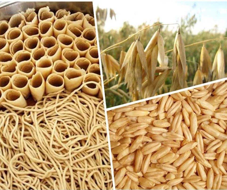 是谁将马匹饲料推销到了人们的餐桌?燕麦的故事,背后的资本味道