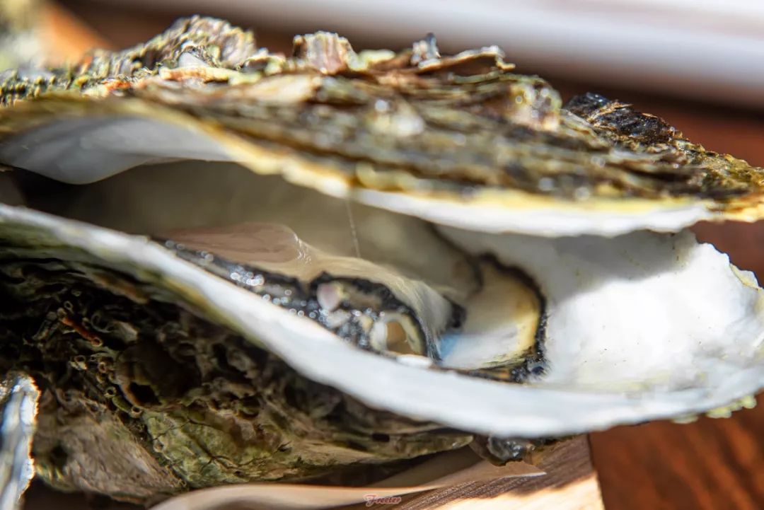 海口酒吧吃饭,海口私房菜有什么好吃的