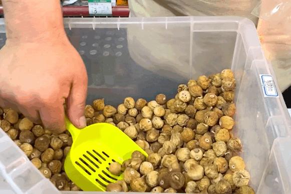 无锡“马大嫂”私藏小卖部!买到要偷着乐