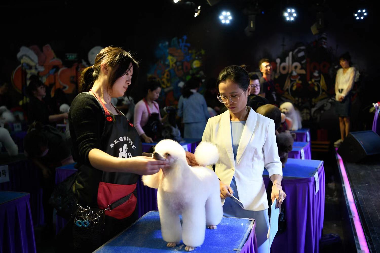 首届宠物美容商业造型交流会暨萌宠修剪赛圆满落幕