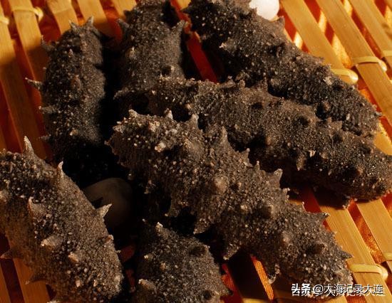 大连算不算东北城市,大连要成为超大城市吗