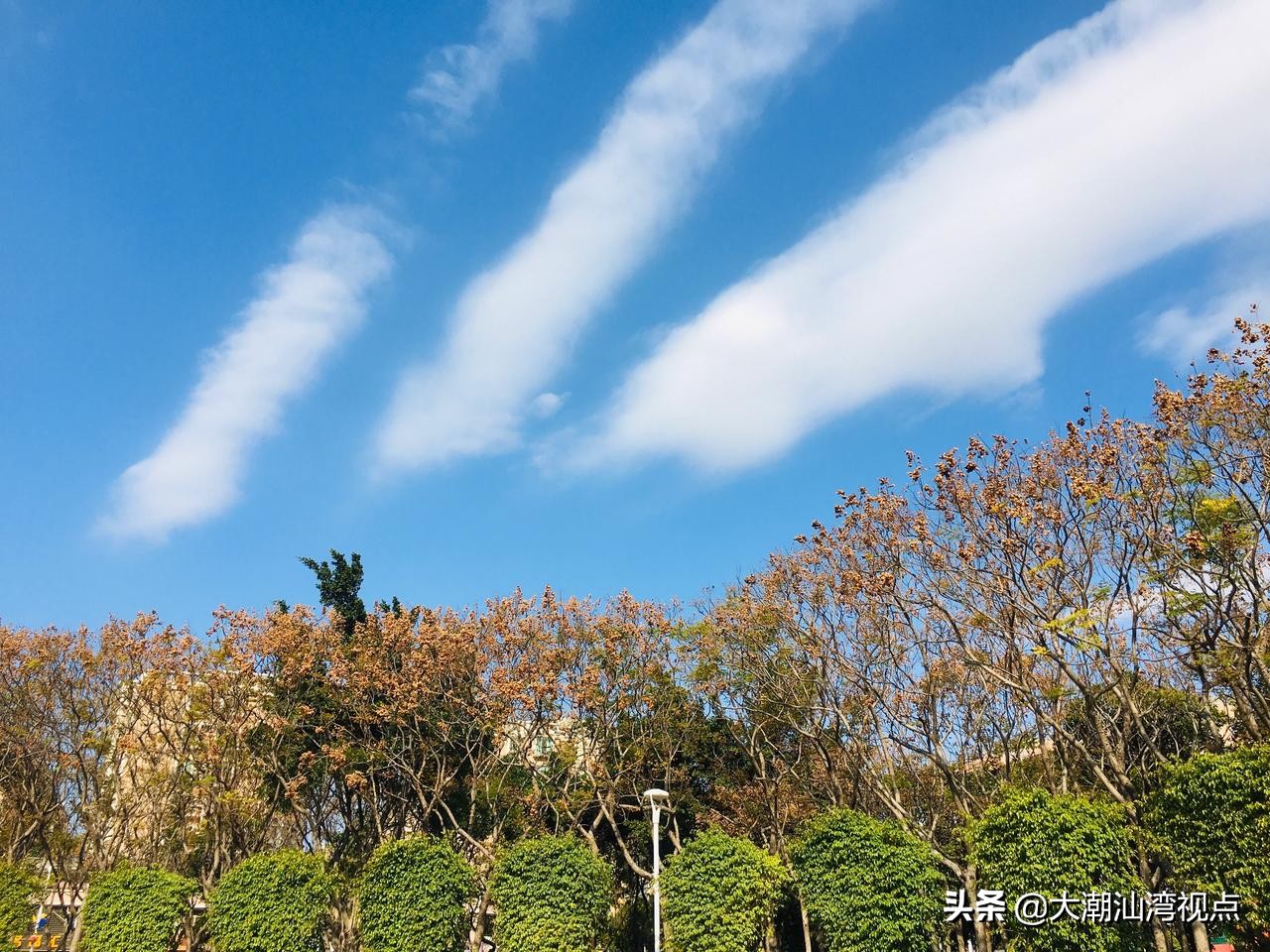 汕头星湖公园电话号码,请问汕头星湖公园有教人跳舞的吗