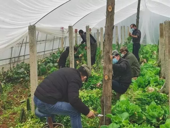 绿城风雨同舟,绿城与您在一起