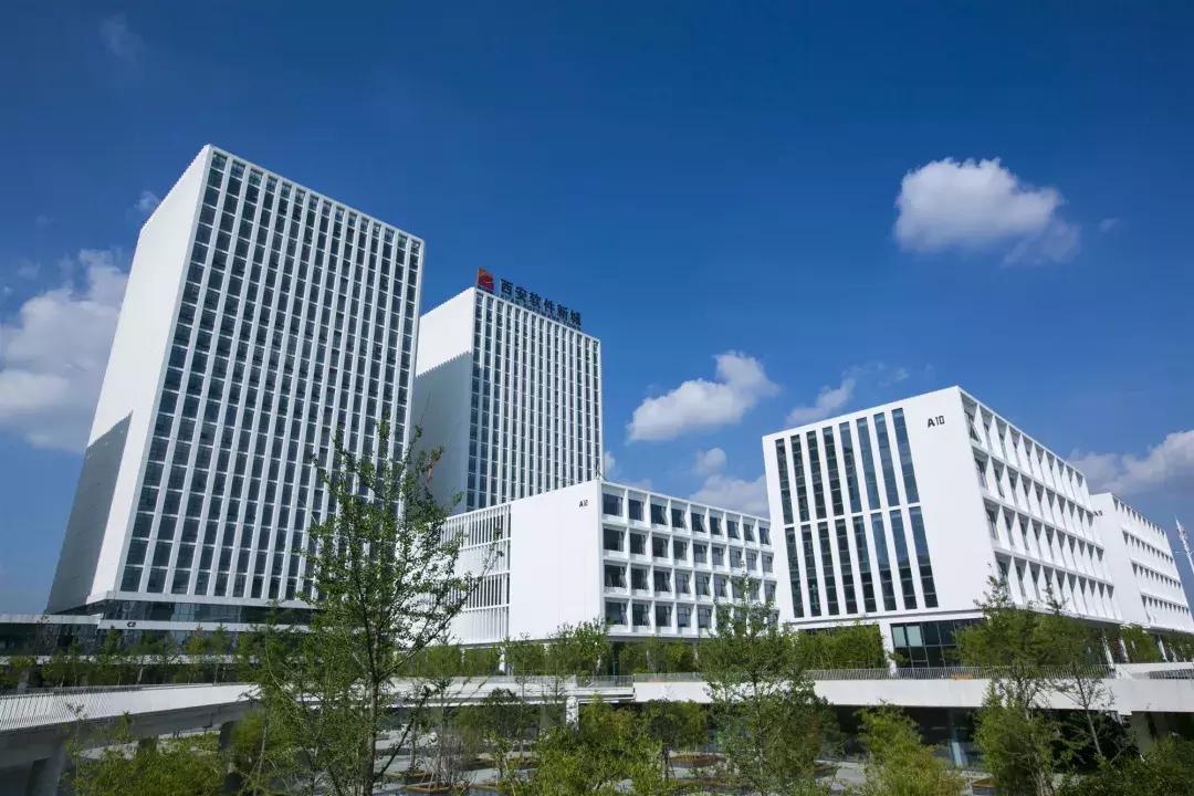 西安十大核心人才,西安有哪些高薪好公司