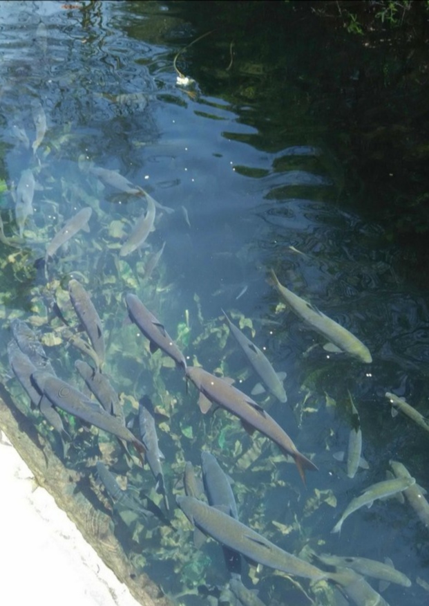 昆明水源地风景区,昆明最好的水源地