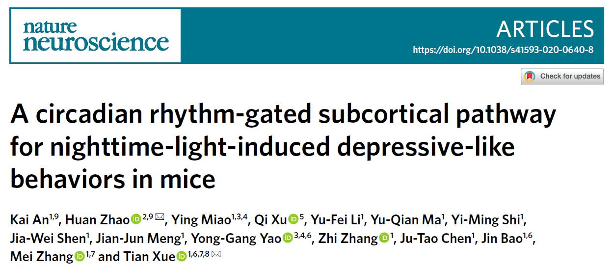 睡前玩手机会造成失眠,玩手机会导致精子异常率高吗