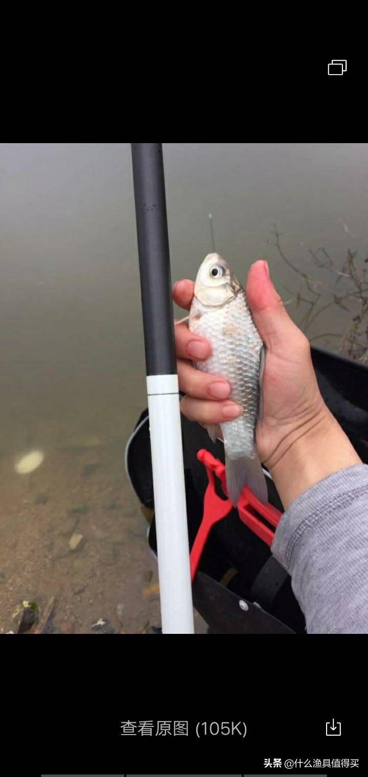 冬天钓鲫鱼小综合鱼竿,寒潮大风天钓鱼