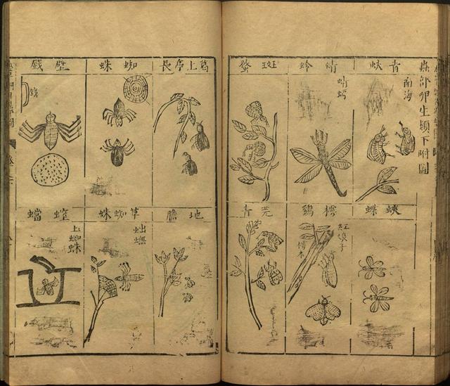 李时珍本草纲目书目录,李时珍本草纲目下卷