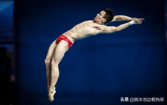无所谓运动员,跳水郭晶晶评价陈艾森
