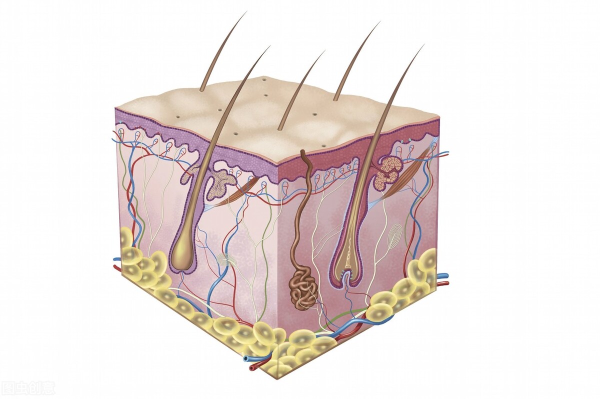 做植发标准流程是什么样的,植发必须去医院做吗