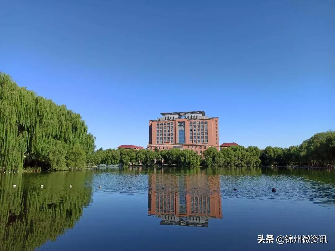 锦州渤海大学校庆献礼!纸短情长,写给我深爱的渤大