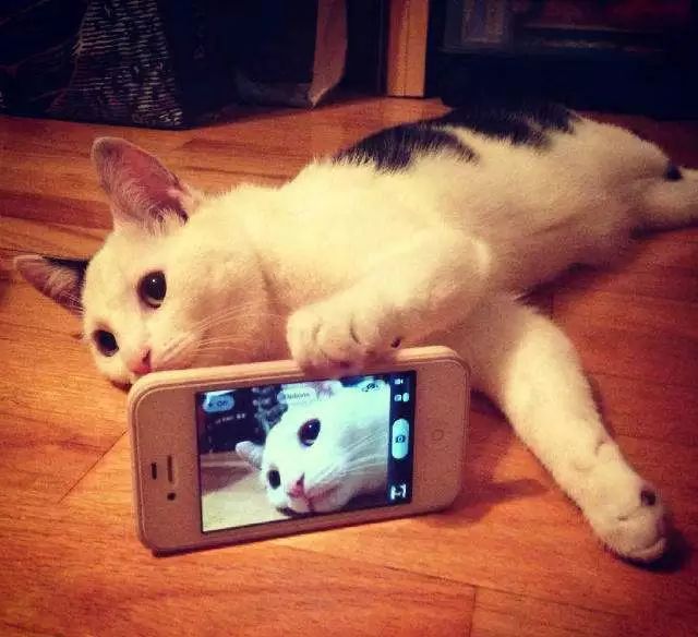 朋友圈很压抑吗,12星座朋友圈常态