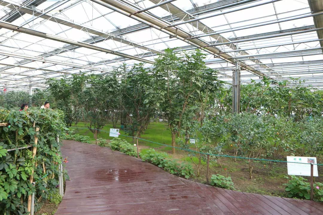 玩转第十八届长春农博会,2019长春冬季农博会票价