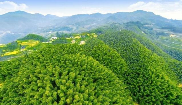 婀栧崡鑻椾埂鍩庢瑙嗛,婀栧崡鍩庢鑻楁棌鏁厭姝岃瘝