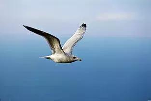 「文学照亮我的人生」段体泽——诗歌文学托举我成长的翅膀