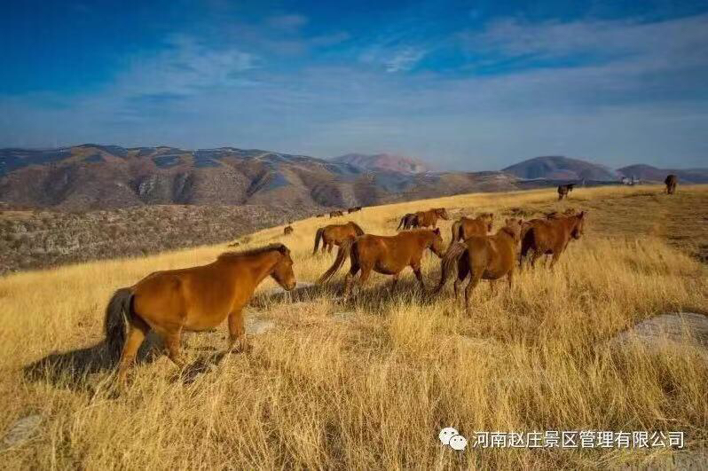 淇县古村落赵庄,鹤壁网红村赵庄村