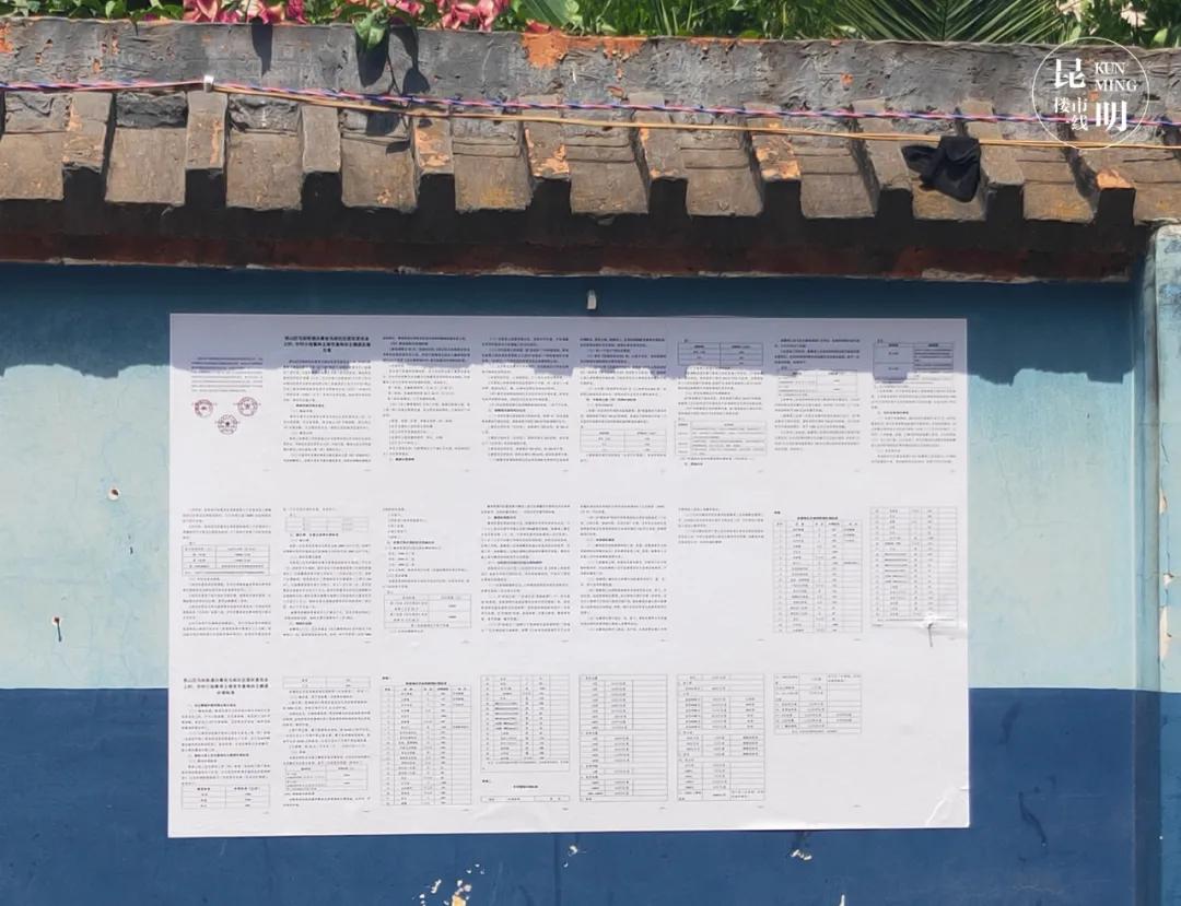 大华村拆迁计划,大华集团拆迁