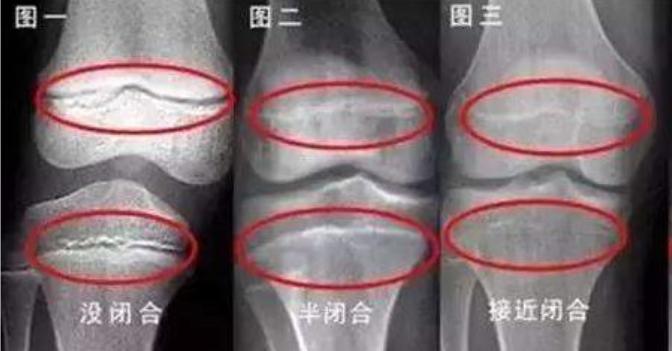 二十三蹿一蹿有可能吗,二十三窜一窜这个说法正确吗