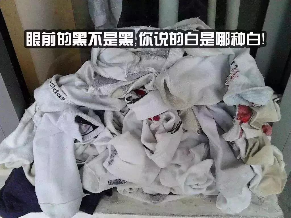 做家务的男人大型翻车现场！别拦我，我能吐槽24小时