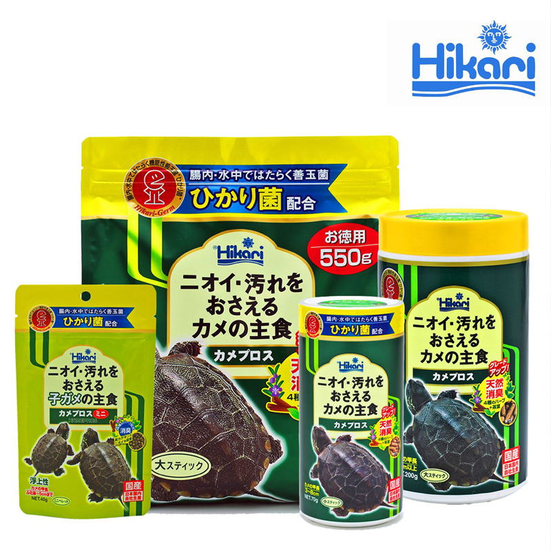 新手养龟哪种龟最好养,养龟新手应该选什么龟好