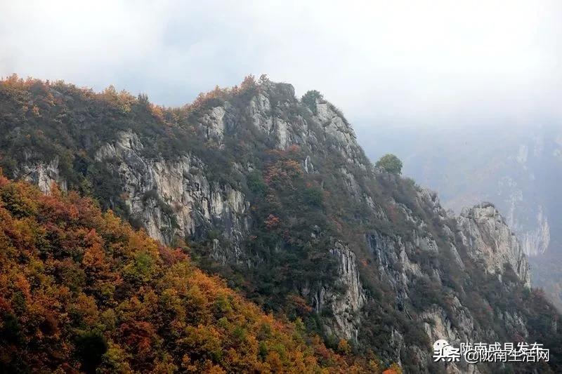 我叫成县,这是我2019年的自拍照