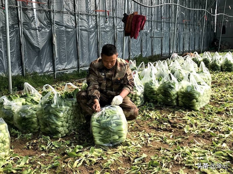 继“偷省长”后又想来河南“偷村支书”？我们的村支书可得藏好喽