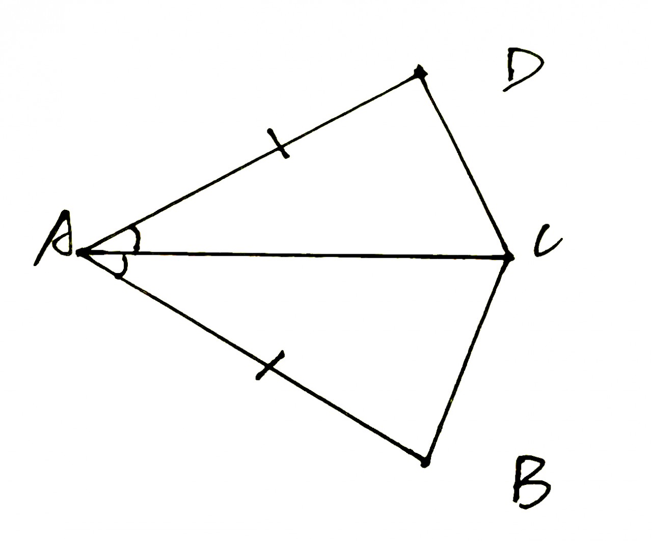 初二数学三角形知识点笔记,初中数学三角形全等知识点