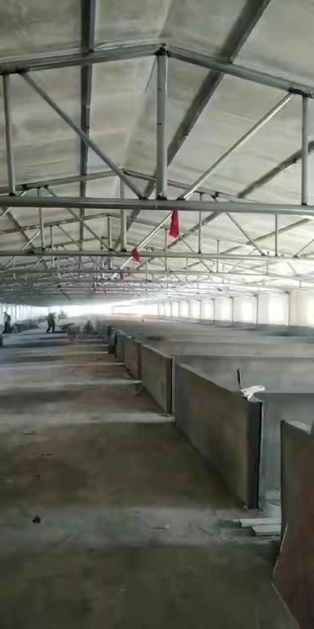 母猪发情有什么表现？如何判断母猪是否发情？