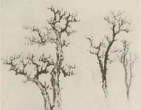 怎么画树最简单而且还最好看,怎么画树才更真实