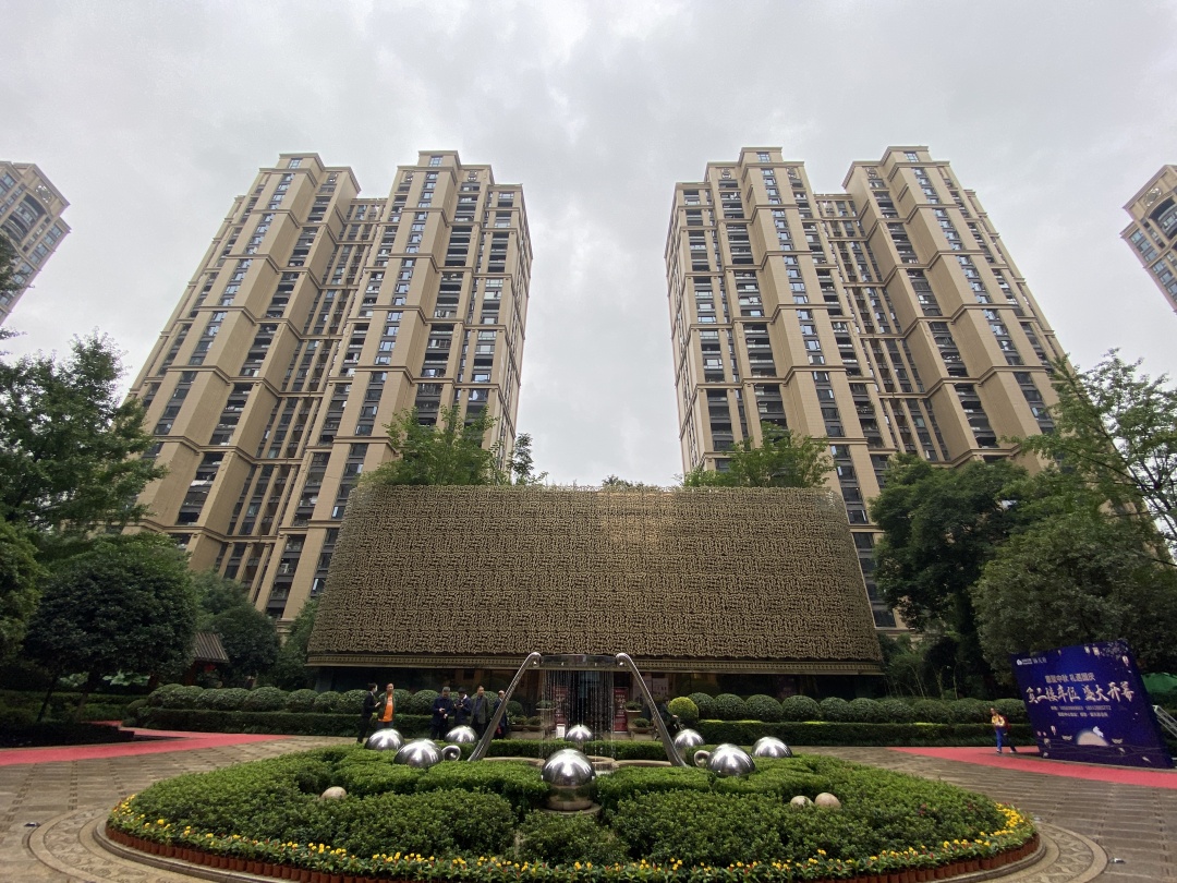 绿地锦天府业主大会,社区党建引领红色物业工作推进会