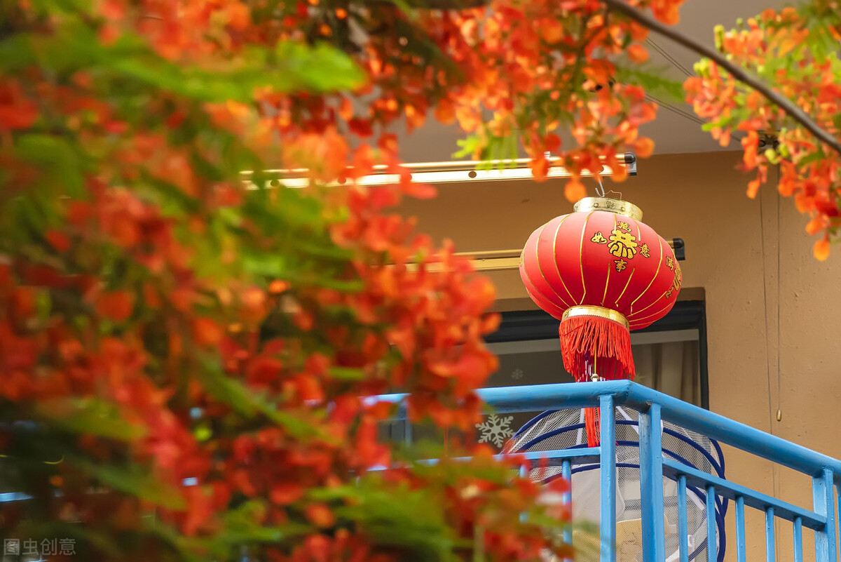 花草中的“火凤凰”,树上树下同惊艳,可惜只有南方人有眼福