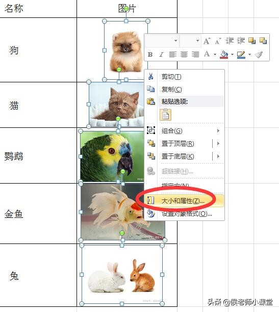 办公软件excel技巧如何制作表格,办公软件技巧excel图片打印