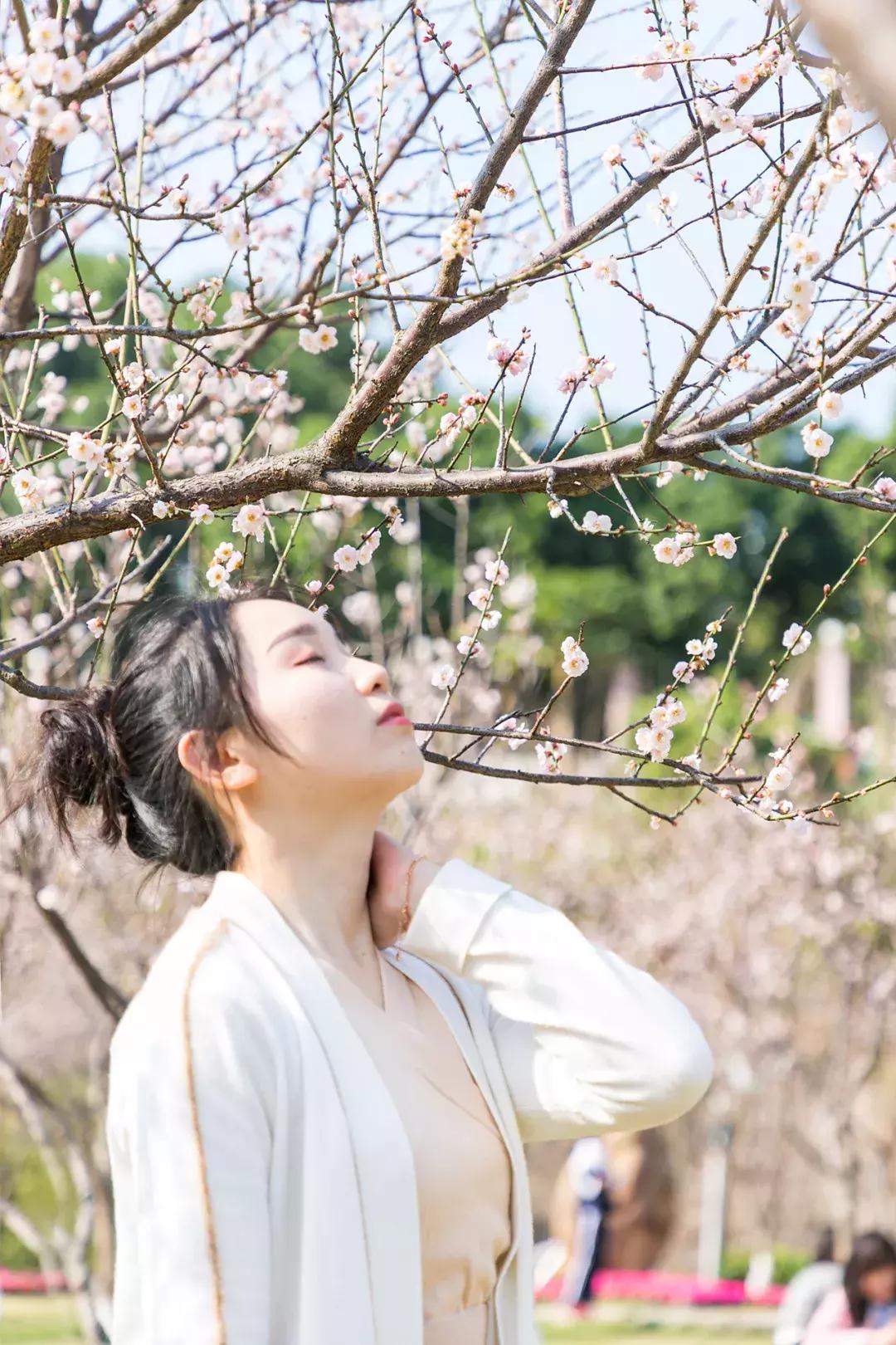 深圳隐秘风景,深圳粉色花海视频